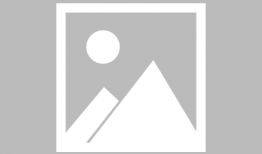 动物拟人漫画,趣味漫画中的角色演绎