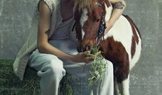 斑麻豆,探寻古老传说中的神秘果实